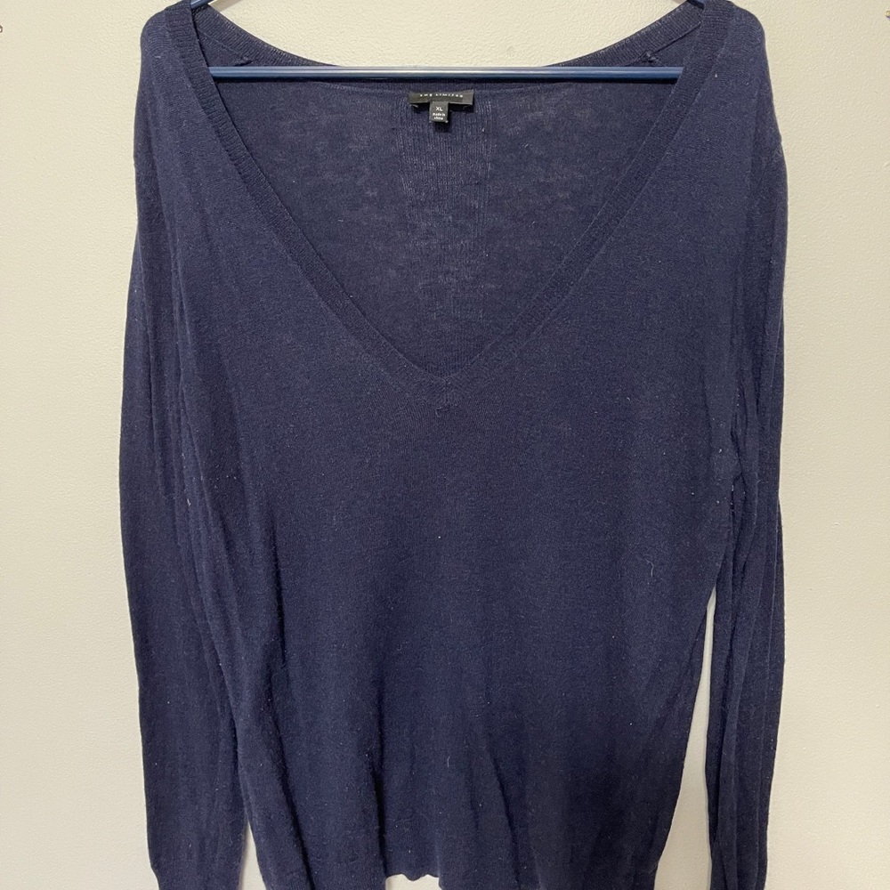 The Limited V-Neck Sweater